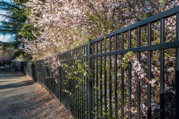 Black Metal Fence Installation in Bowie