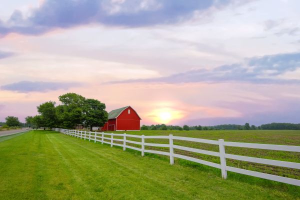 Farm Fencing Installation in Bowie