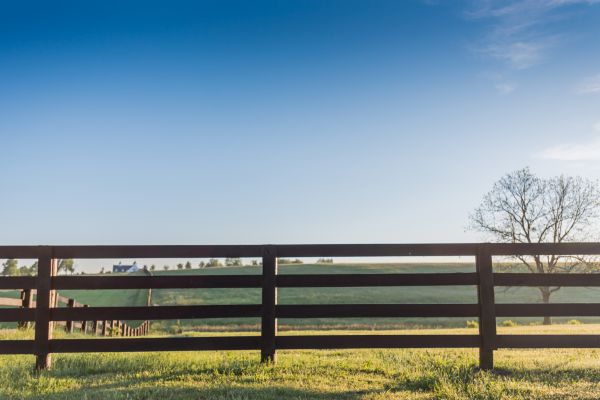 Fence Railing Installation in Bowie