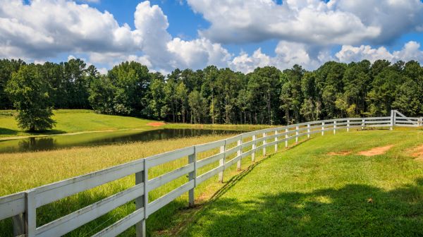 Pasture Fence Installation in Bowie