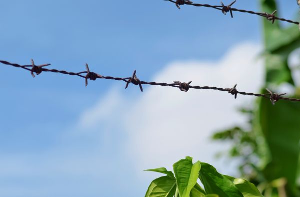 Garden Fencing Service in Bowie