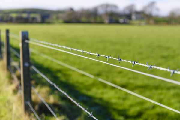 Game Fence Installation in Bowie