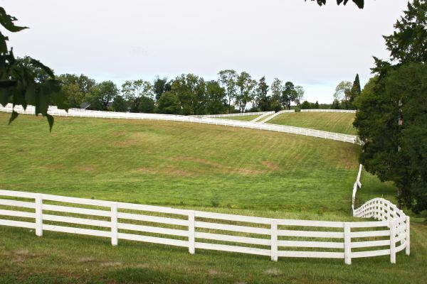 Pasture Fence Replacement in Bowie