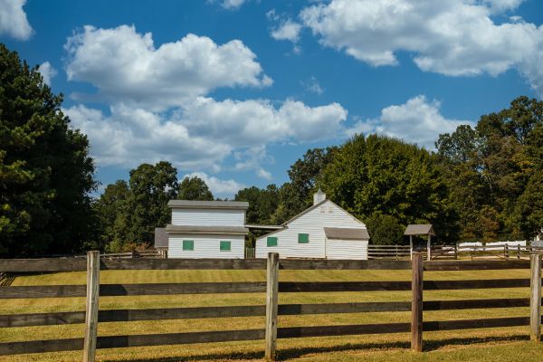 Wood Rail Fence Installation in Bowie