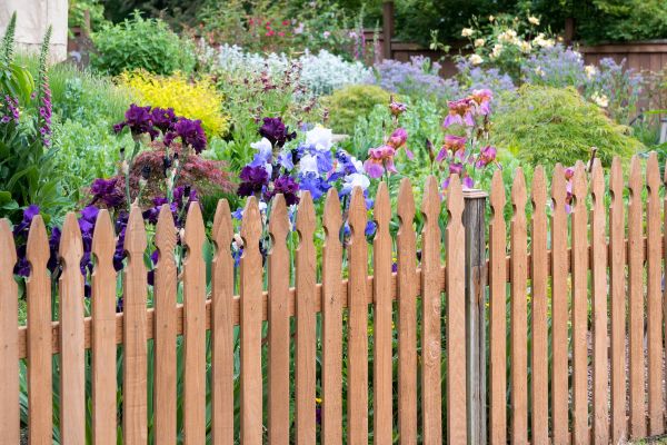 Wood Picket Fence Installation in Bowie