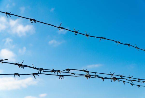 Wire Fencing Service in Bowie