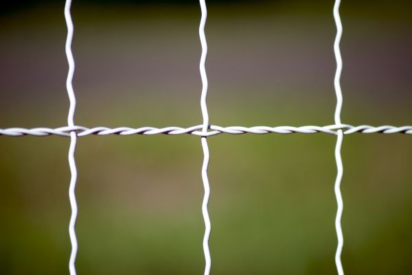 Woven Wire Fence Repair in Bowie