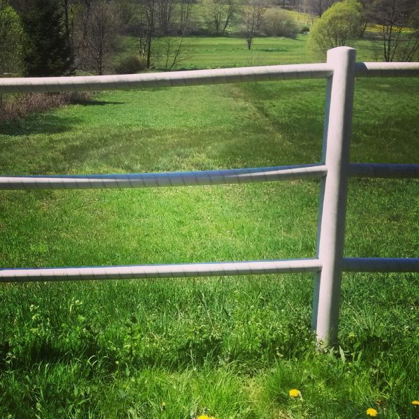 Cattle Fence Replacement in Bowie
