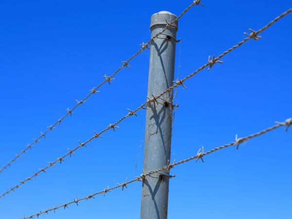 Barbed Wire Fence Service in Bowie